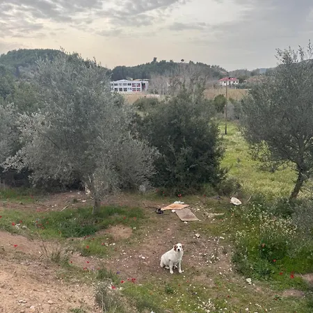 Antinea Olympian Apartmán Ancient Olympia